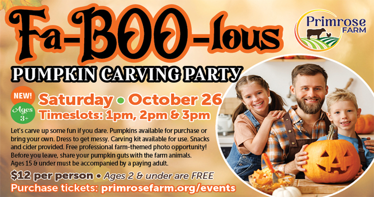 St Charles Pumpkin Carving Contest Party