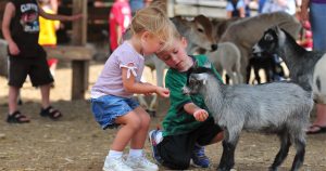 Midwest Petting Zoos