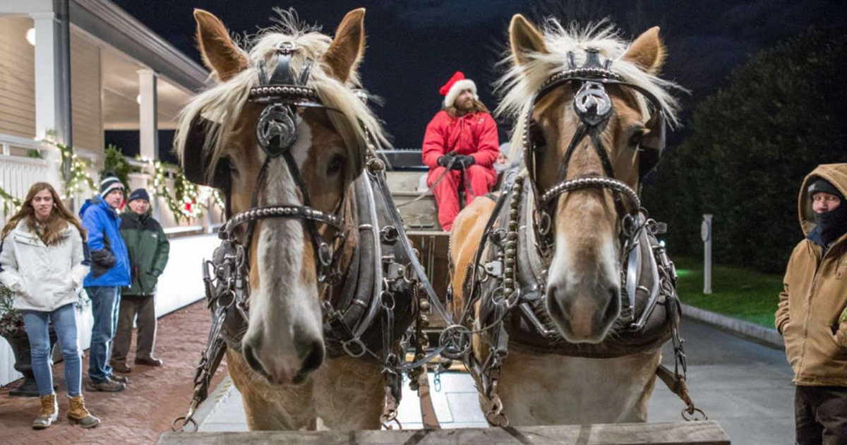 Horse drawn carriage sleigh rides