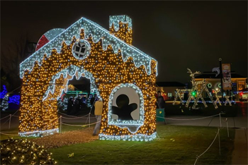 Brookfield zoo christmas lights