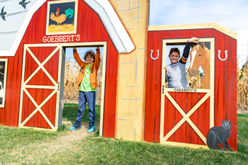 Goebberts Pumpkin Farm South Barrington