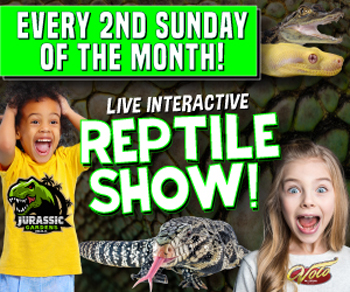 Jurassic Gardens Live Interactive Reptile Experience