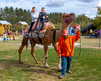 Midwest Camel Rides Chicago area