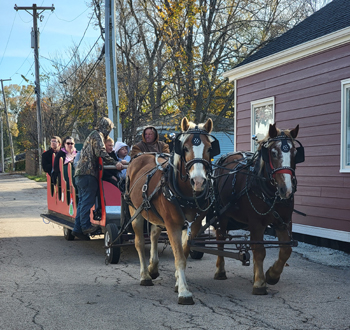 Horse drawn carriage sleigh rides