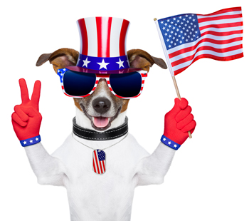 Usa American Dog