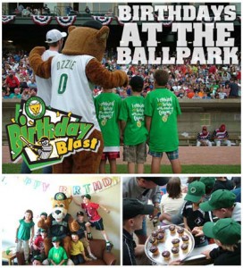 Kane County Cougars Birthday Party Packages