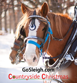 gosleigh1