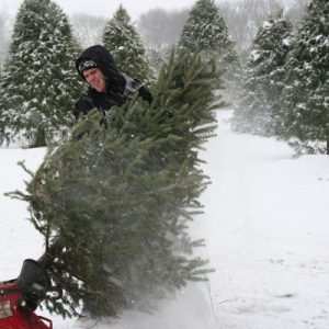 tree_shaking_snow_400x400